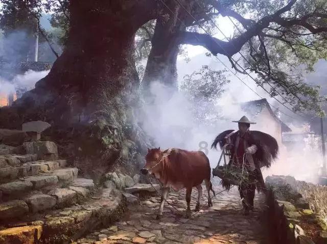 史小坑的爆笑生活11