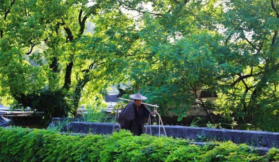 大丛林度假村逃生