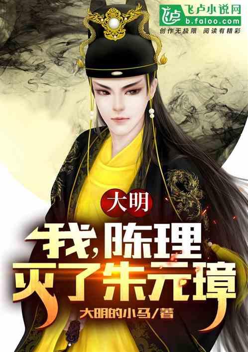 疯狂的小偷