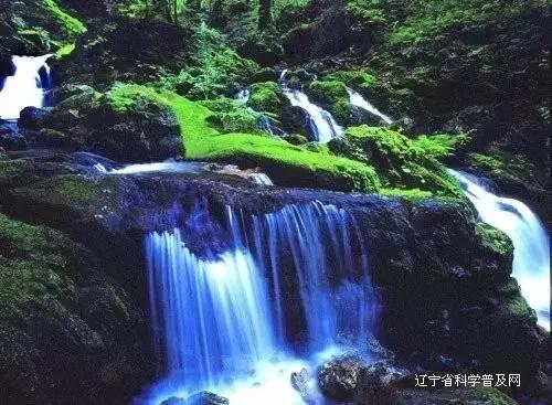 搜狐健康课·精编 | 刘瀚旻：哪些儿童患流感容易变重症？