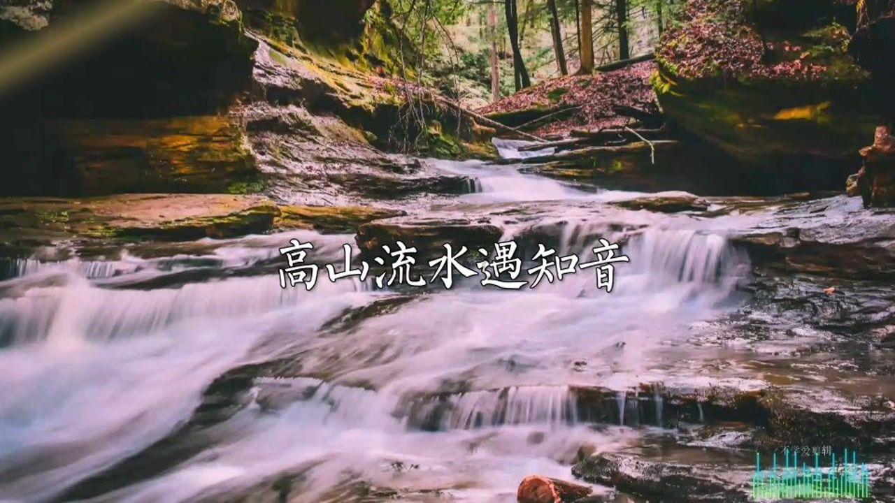正当防卫